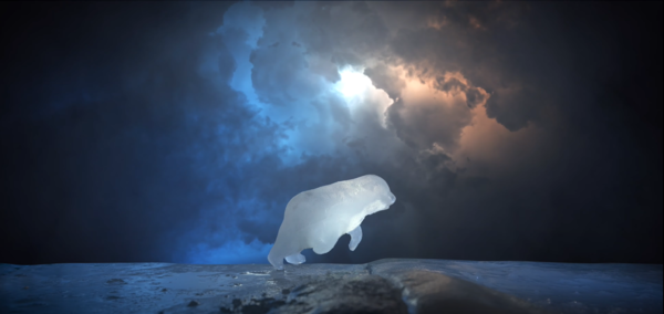 출처 : WWF Global Arctic Programme 공식 유투브