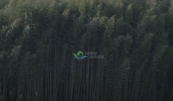  포트폴리오_박현수