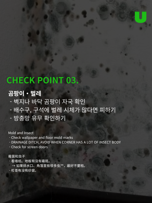 출처: connect_u4 인스타그램